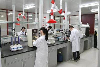 生物醫(yī)藥看濱海 | 凱萊英醫(yī)藥集團(tuán) 創(chuàng)新驅(qū)動(dòng)，與新區(qū)共筑健康未來(lái)